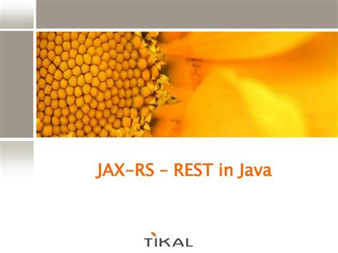 Image result for Java JAX-RS