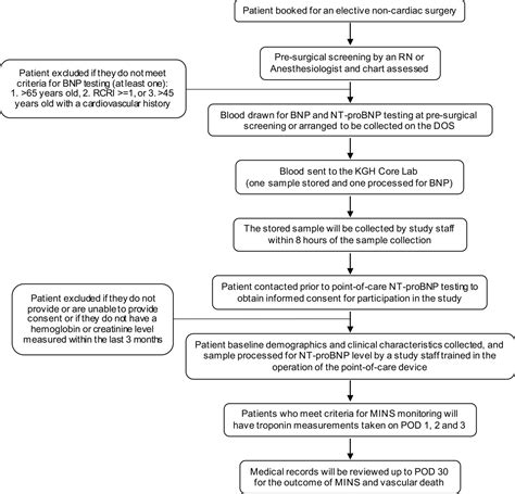 Conversion between B-type natriuretic peptide and N-terminal pro B-type natriuretic peptide in ...