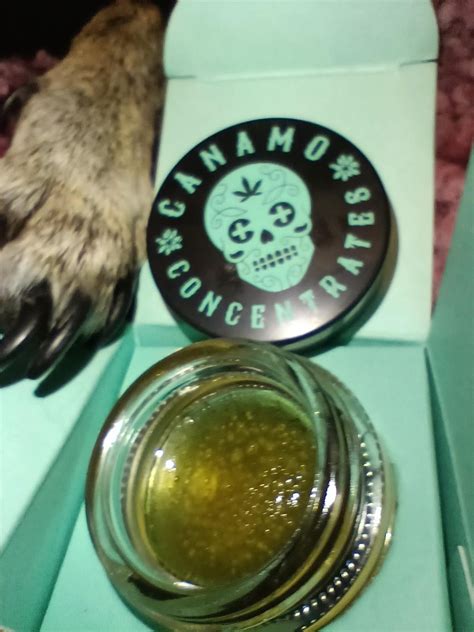 Canamo ~Face on Fire~ cured sauce, Smoke Dogg approved fire 🐾🔥🐾 🏼 : r ...
