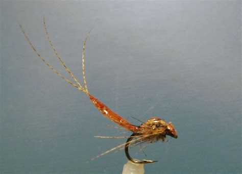 Simple Nymph Patterns Mayfly 的图像结果