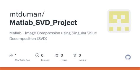 SVD MATLAB Code For 的图像结果