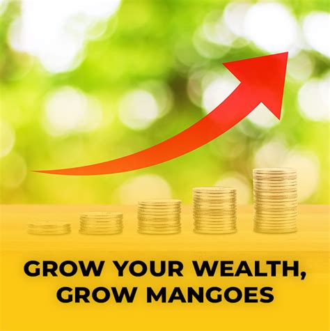 Top Five Fast-Growing Trees in India | M/S Holidays MangoFarms Blog