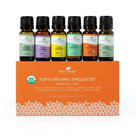 Revitalize Your Life With These Top Essential Oil Brands of 2023 ...