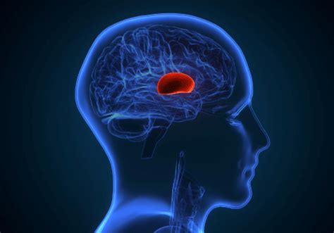 Brain Hemorrhage: Causes, Symptoms, Treatment, and Recovery Insights ...