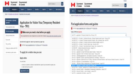 Image result for CIC Web Form