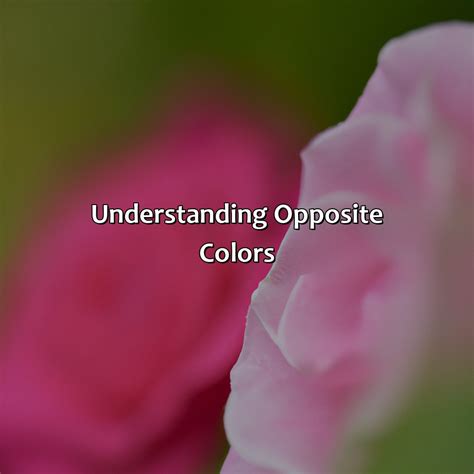 What Color Is The Opposite Of Pink - colorscombo.com