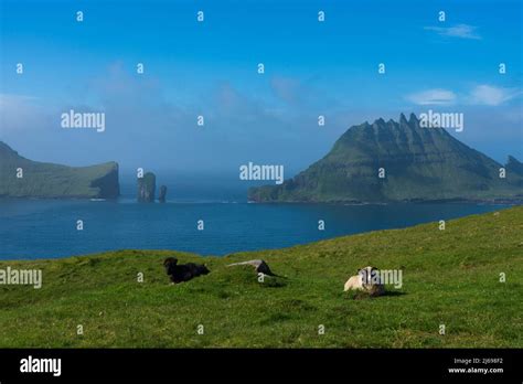 Image result for Example Code Using HTML Tag
