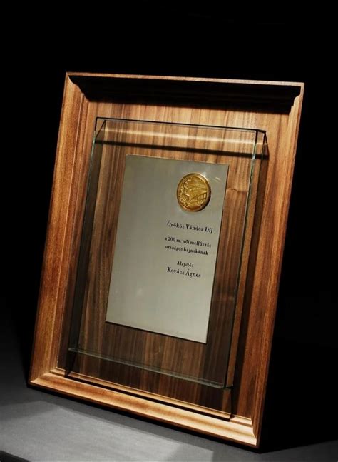 Frame - Golden Frame Award Manufacturer from Mumbai
