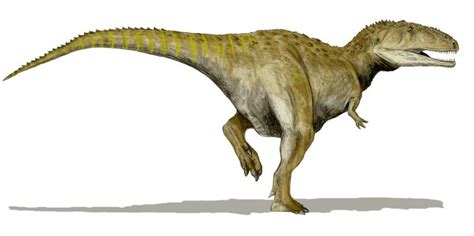 Image result for Mapusaurus Lived