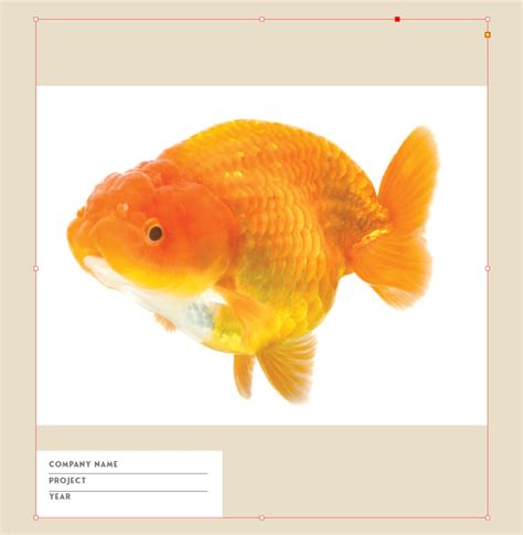 Image result for Change Background Color InDesign