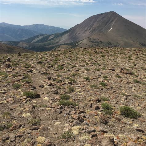 Columbine Camping | The Dyrt