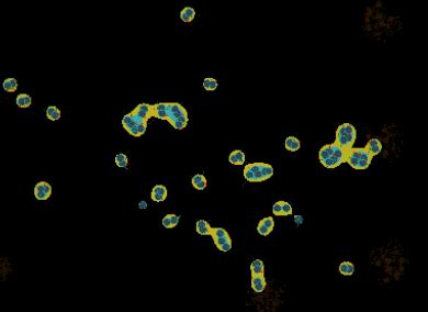 Image result for Simulating Evolution