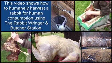 Image result for Navigation System for Eco Design