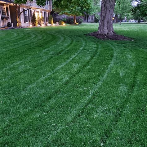 Grass Seed & Fertilizer Bundle for Shady Lawns l Jonathan Green