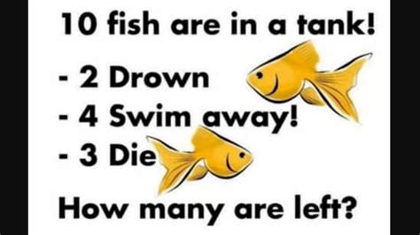 Brain teaser: You're a puzzle master if you know how many fish are left ...