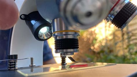 Image result for Monocular Compound Microscope