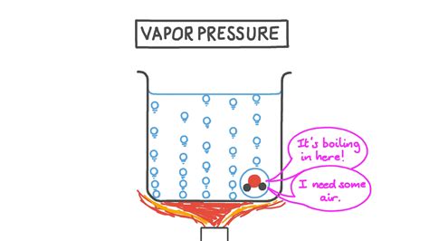 Vapor Pressure Practice (Gases pg 22) Quiz