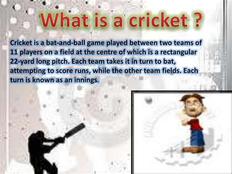 Cricket Graphs in Matplot 的图像结果