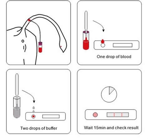 krishnasurgical Bovine Pregnancy Test Kit, Veterinary Use Dissection ...