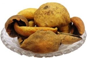 Nature Green Indrayan Phal, Tumma, Citrullus colocythis, Colocynth Seed ...