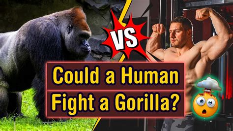 Image result for Gorilla vs Humans Script