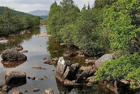 ARIUNDLE OAKWOOD NATIONAL NATURE RESERVE (2026) All You Need to Know ...