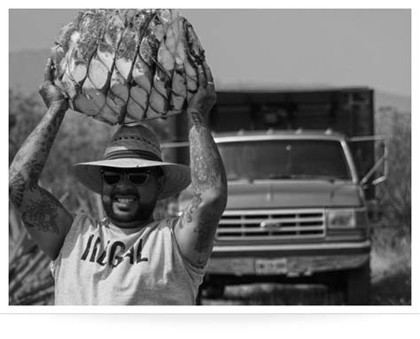 Ethical Tequila | page 2