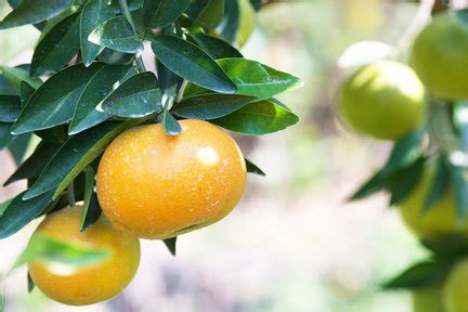 Best things to do in Beitun Main Station, Taiwan 2025