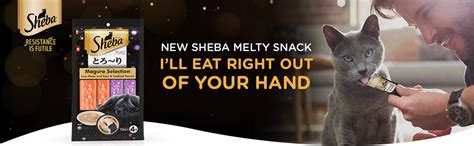 Sheba Melty Premium Cat Snack, Tuna, 6 Packs (6 x 48g) : Amazon.in: Pet ...