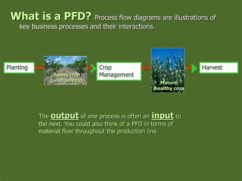 Evolution Process Flow Chart 的图像结果