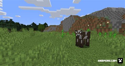 Image result for Java for Minecraft 64-Bit Free Windows 10