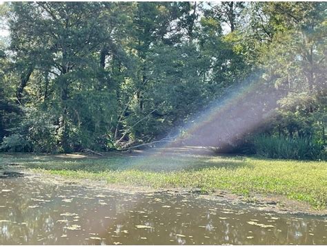 THE FLINT RIVER OUTPOST (2026) All You Need to Know BEFORE You Go (w ...