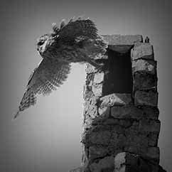 ЧОРНОБИЛЬ - 30 років після катастрофи