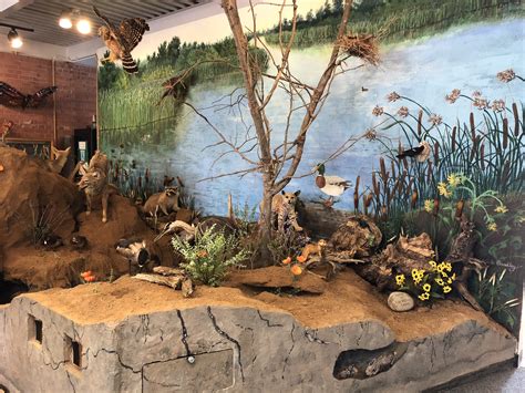 Nature Center 的图像结果