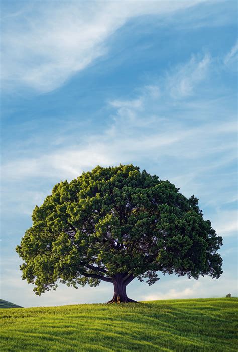 Maksat Technologies || Linking Technology To Imagination