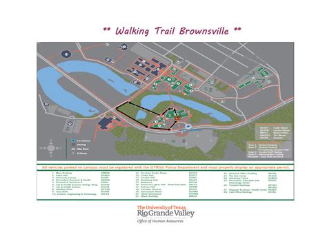 Campus Wellness | UTRGV