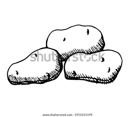Image result for Potato Man Project Python Coding