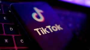 'It is owned by Americans': TikTok dodges U.S. ban as Oracle, MGX take ...