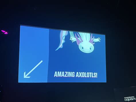 Endangered axolotls find a permanent home at the Vancouver Aquarium | BCIT News