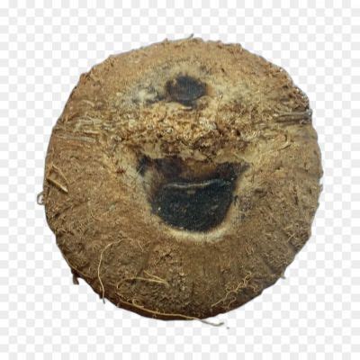 Nariyal No Background Isolated Image PNG - Pngsource