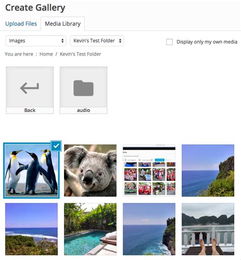 Image result for Categorizing Media Files Using Folder in WordPress