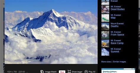 Search Using Image Bing 的图像结果