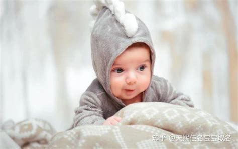 兔年出生的刘姓男孩起名大全，前程似锦的男宝宝名字 - 知乎