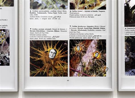 Walid Raad at Stedelijk Museum Amsterdam - Artmap.com