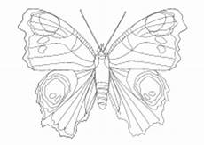 ausmalbild schmetterling tagpfauenauge malvorlagen insekten schmetterlinge k 228 fer lustige ausmalbild schmetterling tagpfauenauge malvorlagen insekten schmetterlinge k 228 fer lustige