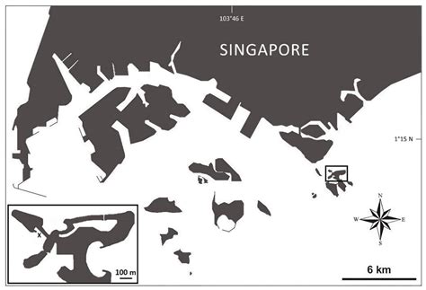 Transplanting Coral Fragments in Close Contact Enhances Their Survival ...
