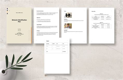 Image result for Behavior Modification Plan Template