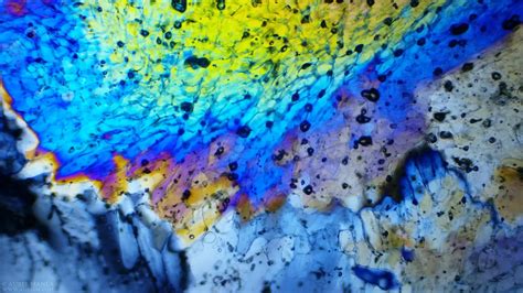 Polarizing Light Microscope 的图像结果