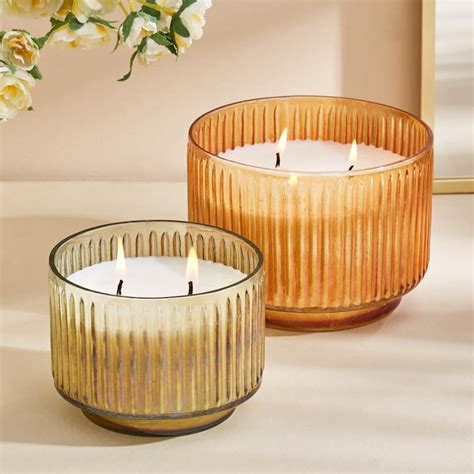 Buy Moksha Berry Blush Scented 2-Wick Jar Candle from Home Centre at ...