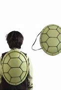Image result for 龟甲 turtle shell